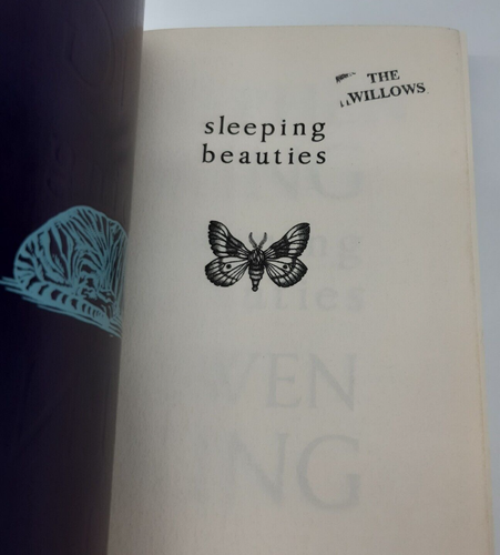 Sleeping Beauties by Stephen King Owen King C Format Large Paperback 2017 - Bild 11 von 11