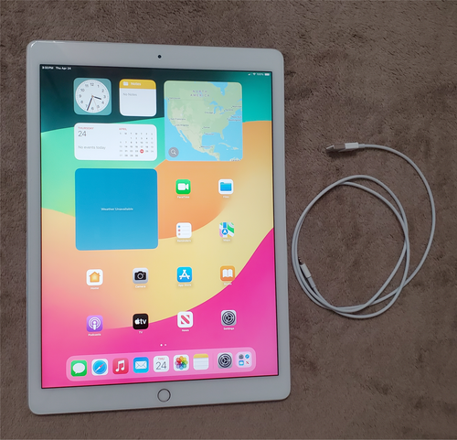 White Apple iPad Pro 12.9" 2nd Gen 256GB Storage Unlocked Cellular Cable Case - Afbeelding 1 van 9