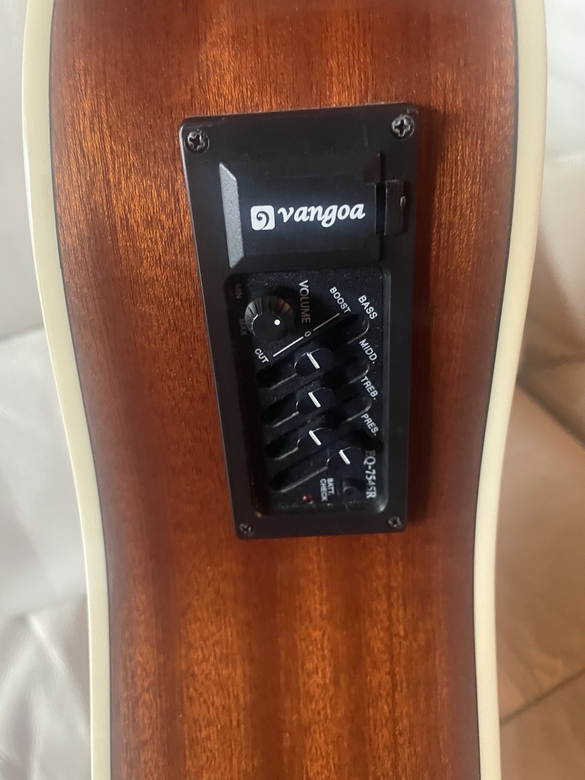 Vangoa 12 String Guitar