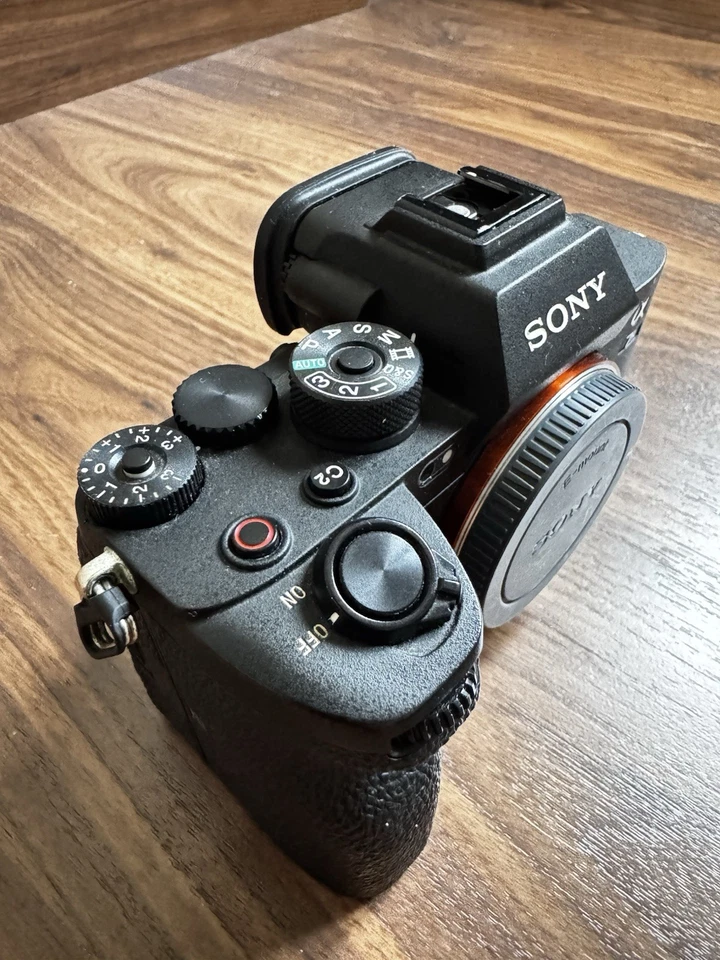 Sony Alpha 7S III, foto 2 di 5