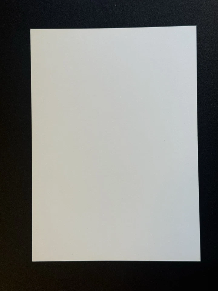 JERRY RICE & RONNIE LOTT 1990 Nike Poster Card RICE & RONNIE #290936 49ers - Image 2 of 2