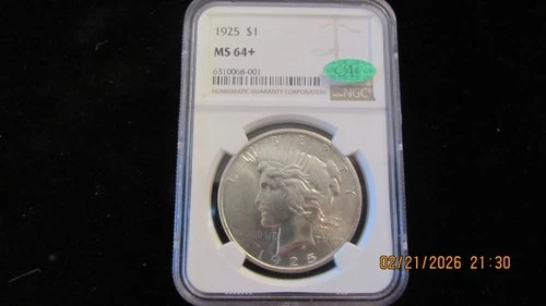 1925-P Peace Dollar NGC MS-64+ - CAC green - PQ++