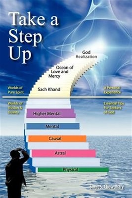 Take a Step Up : A Personal Experience, Paperback by Chowdhary, Surjit S., Br...
