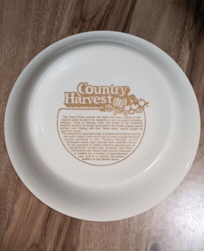 Vintage Royal China TORTA DI MIRTILLI ricetta piatto profondo microonde 11 pollici raccolta campagna - Foto 2 di 2