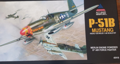 1:48 P-51B Mustang   Accurate Miniatures 3418 sehr selten