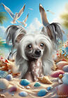 Chinese Crested Summer Beach Fun Flag