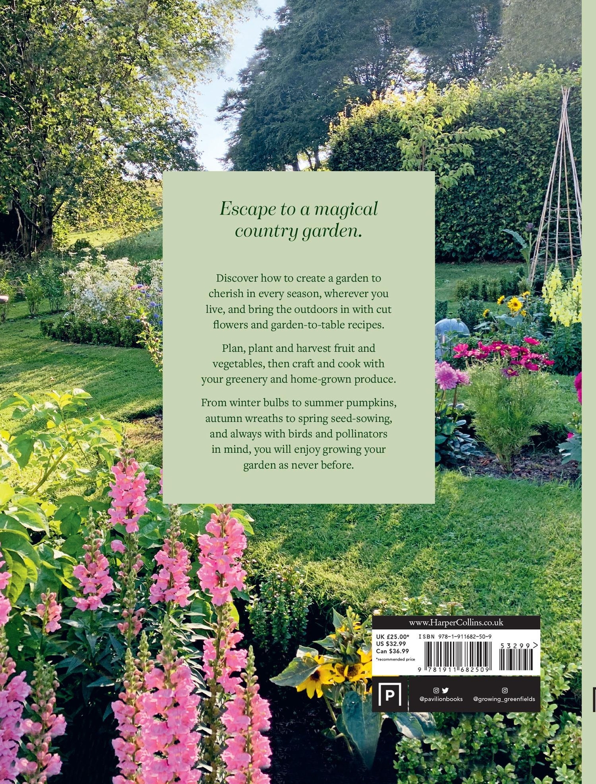 Thumbnail - Diana Yates | Growing At Greenfields | Buch | Englisch (2023) |
