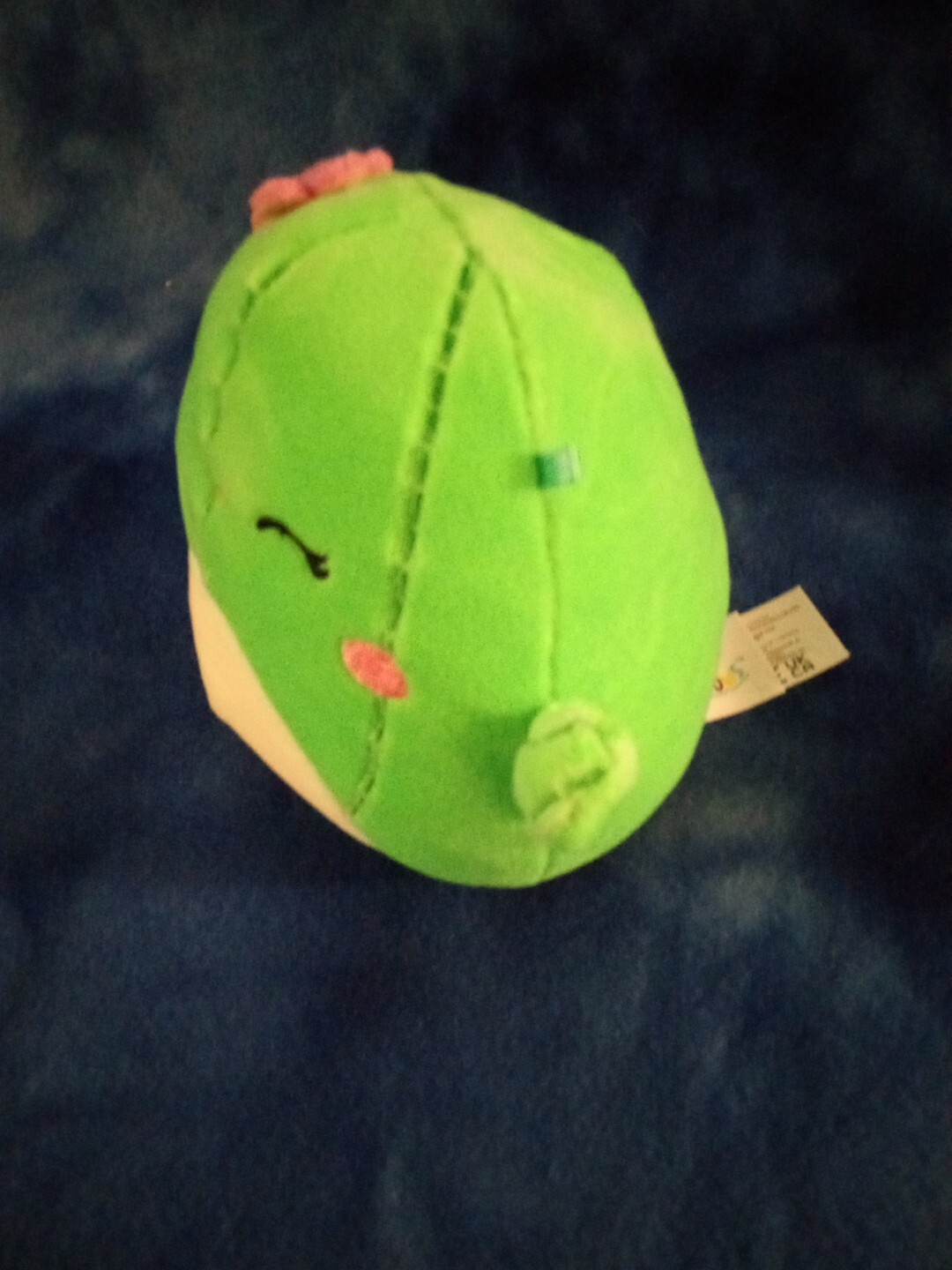 Bild 8 von 11