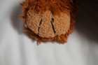 Bild 5 von 7