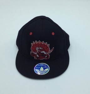 toronto raptors hats new era