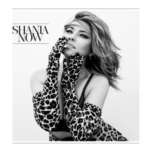 Альбом Shania Twain Now (CD)