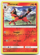 Shining Legends Torracat 16/73 NM Pokemon Reverse Holo Common Tcg Card