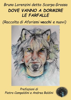 Bruno Lorenzini Dove vanno a dormire le farfalle. Raccolta di aforis (Paperback)