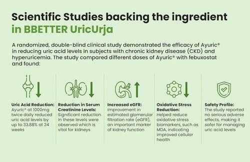 BBETTER UricUrja - Lab Tested Ayurvedic Medicine 60 Capsules - Picture 5 of 10