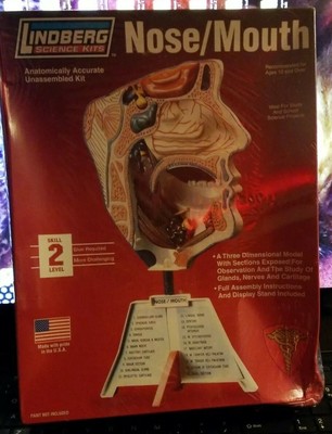 Lindberg Science Kit  Nose/Mouth  W/ Display Stand Level 2 Brand New! USA Made~
