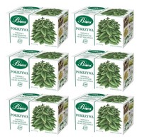 Bifix Brennnesseltee 6X 20 Teebeutel - Brennnessel Tee - NatüRlicher KräUtertee