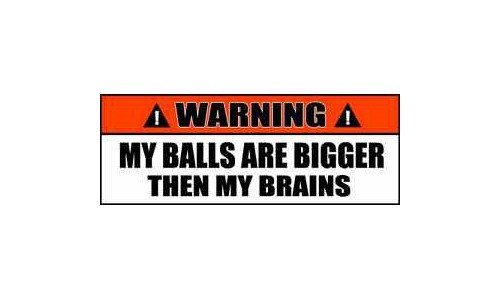 Warning Sign Stickers My Balls are Bigger then My Brains 2 PACK OWS 47 - Picture 1 of 1