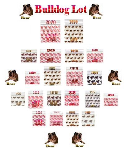 100er Pack Top Dog Brown Bulldog 125125 Apple Zip Baggies 1,25x1,25" Mini Beutel - Bild 2 von 11
