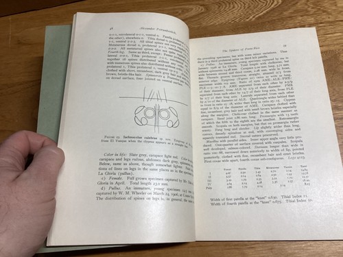 1929-30 3 Vols. The Spiders Of Porto Rico - Connecticut Academy Transactions - Picture 6 of 17