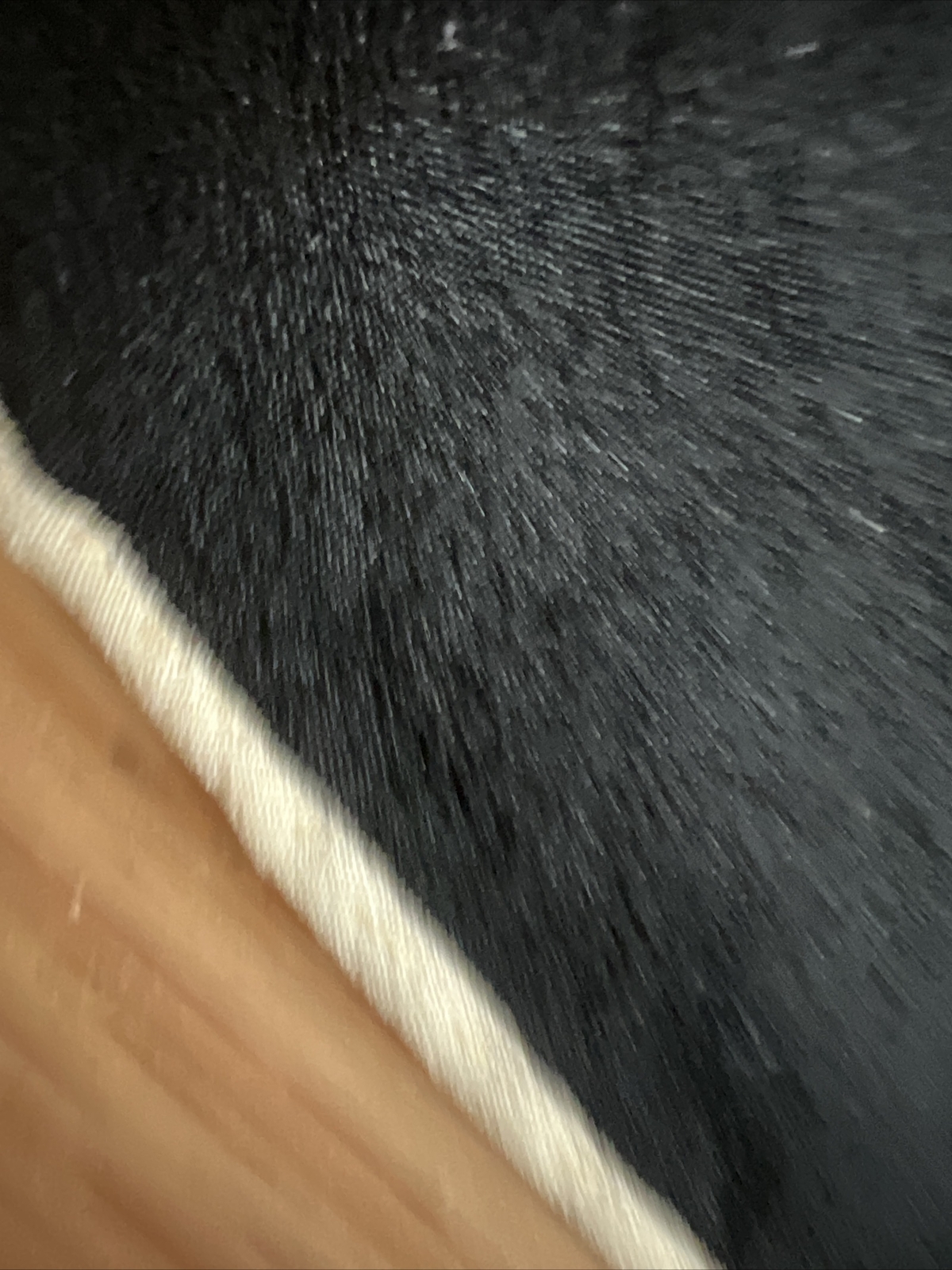 VTG Scarf Silk Crepe Black Netted Butterflies Han… - image 7