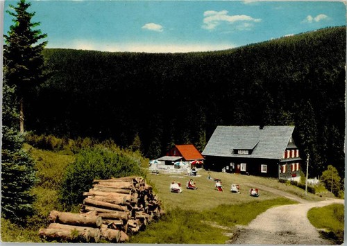 40145414 - 7564 Schwarzenbach Feriengaeste auf Liegestuehlen Pension Seebachhof