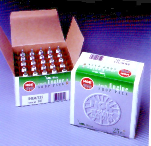 25 Spark Plugs of NGK BM6A / 744