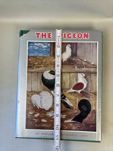 The Pigeon By Wendell Mitchell Levi W/ Dust Cover 1986 Rare HTF - Picture 11 of 12