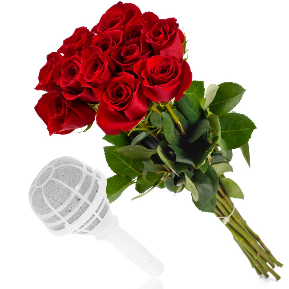 Imagen 7 de 12