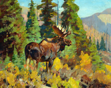 majestic moose wildlife mountain nature ceramic tile mural backsplash