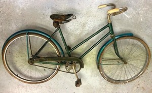 schwinn new world