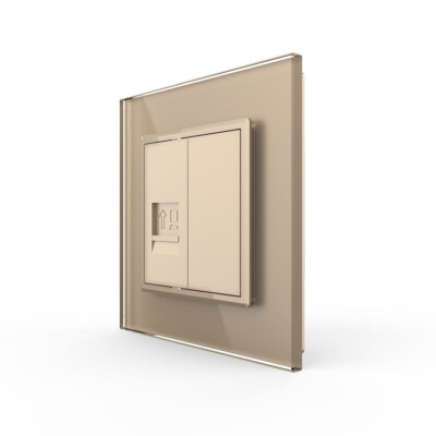 LIVOLO Netzwerkdose LAN RJ45 Datendose Computerdose UP Glasrahmen Unterputz Gold