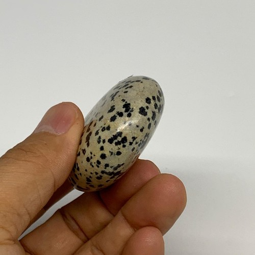 78.1g, 2.2"x1.7"x0.8", Natural Dalmatian Jasper Palm-Stone @India, B29453 - Picture 8 of 10