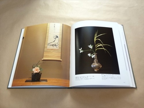 Hana Ichie Das Auge und Herz von Sofu Teshigahara Sogetsu Schule Ikebana Blume - Bild 7 von 11
