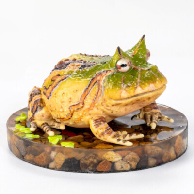 ESANSTOY Ceratophrys Cornuta Painted Frog Model Animal Limited Sculpture Stock
