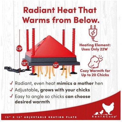 Adjustable Chick Brooder Heat Plate - 20 Chick Capacity