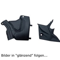Carbon Seitenverkleidungen FüR Ducati Streetfighter V4 2025-
