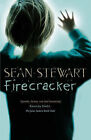 Firecracker by Sean Stewart (Paperback, 2005)