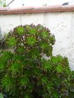 Bild 19 von 24