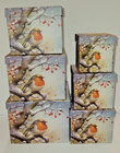 Decorative Feathered Friends Cardboard Nesting Boxes Set of 6 Detached Lids