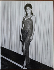 Connie Sellecca (The Greatest American Hero, Hotel) 1985 7x9 Press Photo