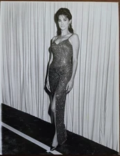 Connie Sellecca (The Greatest American Hero, Hotel) 1985 7x9 Press Photo