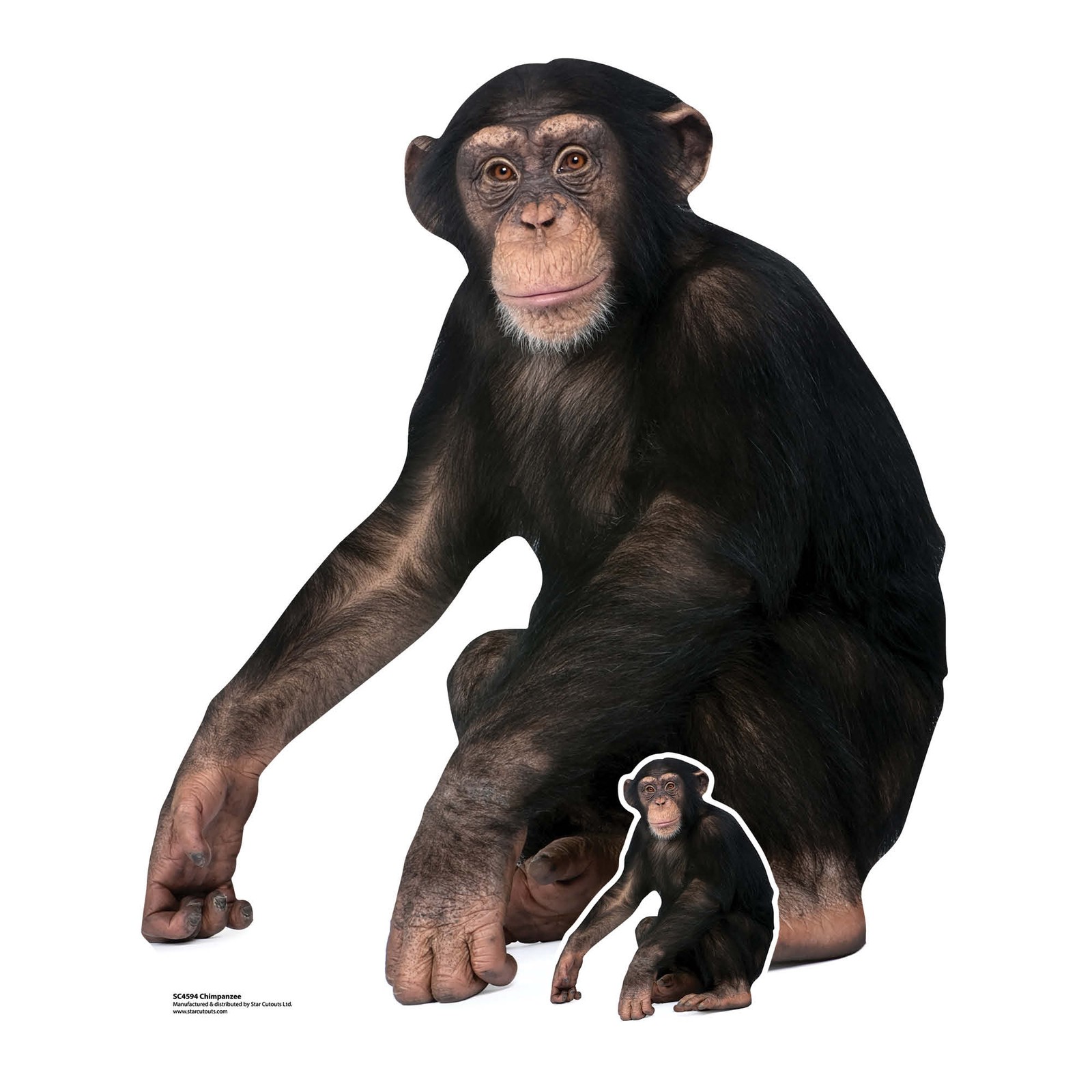 Chimpanzee Monkey Animal Cardboard Cutout with Free Mini Standee Wildlife