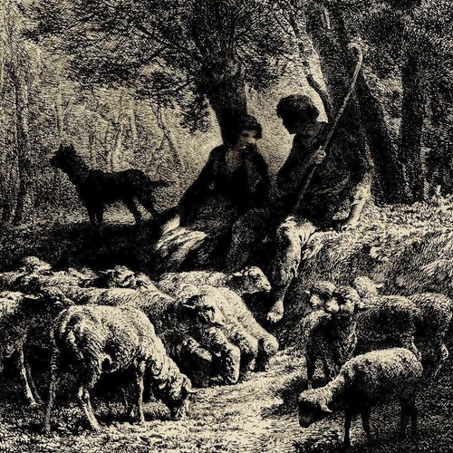 Pastorale Berger Troupeau Moutons Gravure originale Charles Jacque XVIIIe