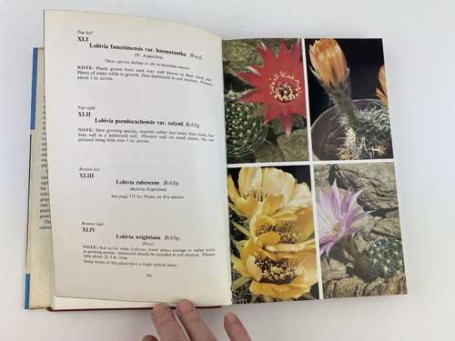 The Illustrated Reference on Cacti and Other Succulents Edgar Lamb Volume 2 1959 - Foto 15 di 17