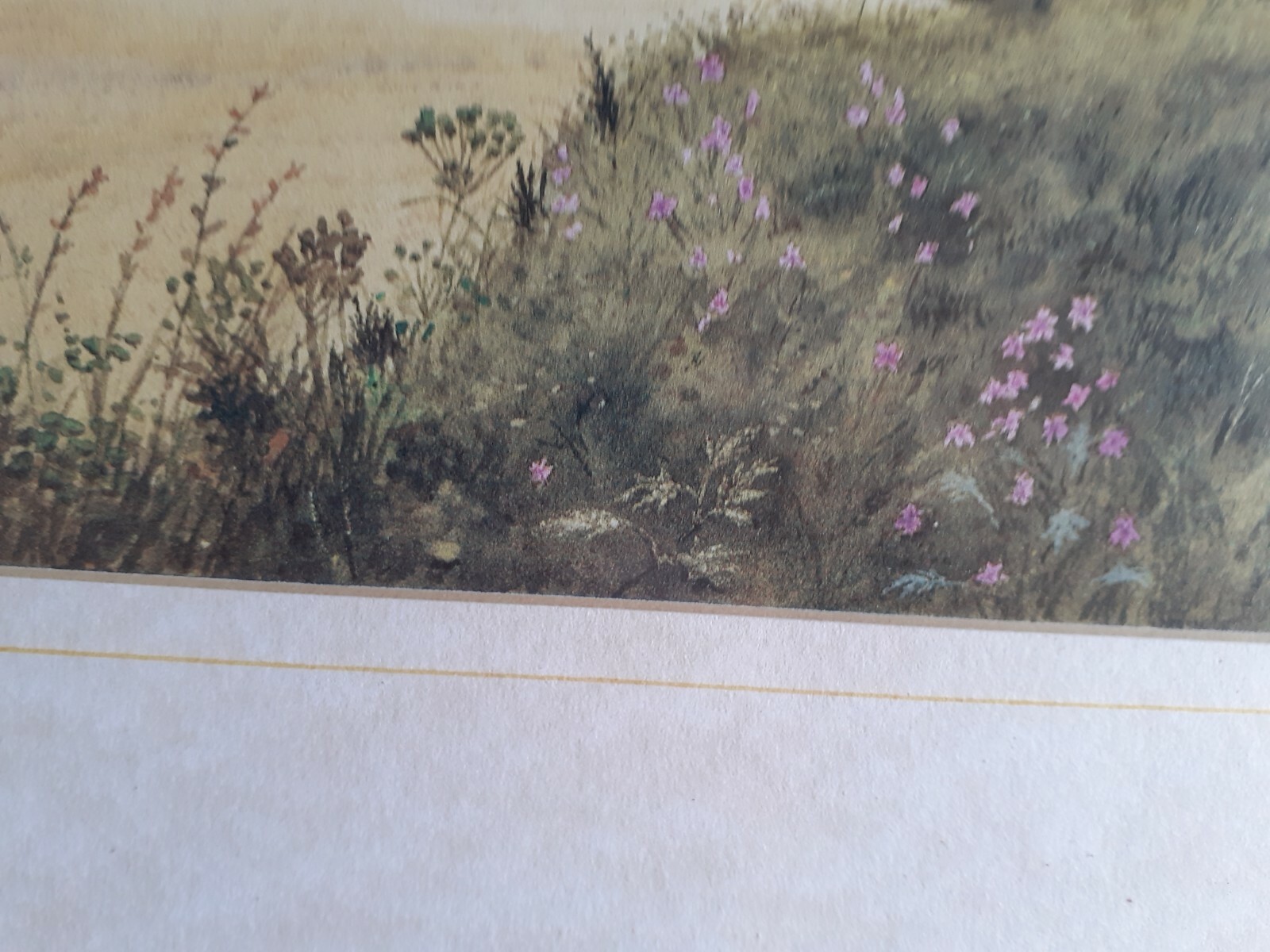 Picture 6 of 7