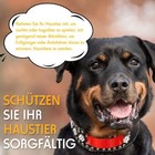 Bild 3 von 7