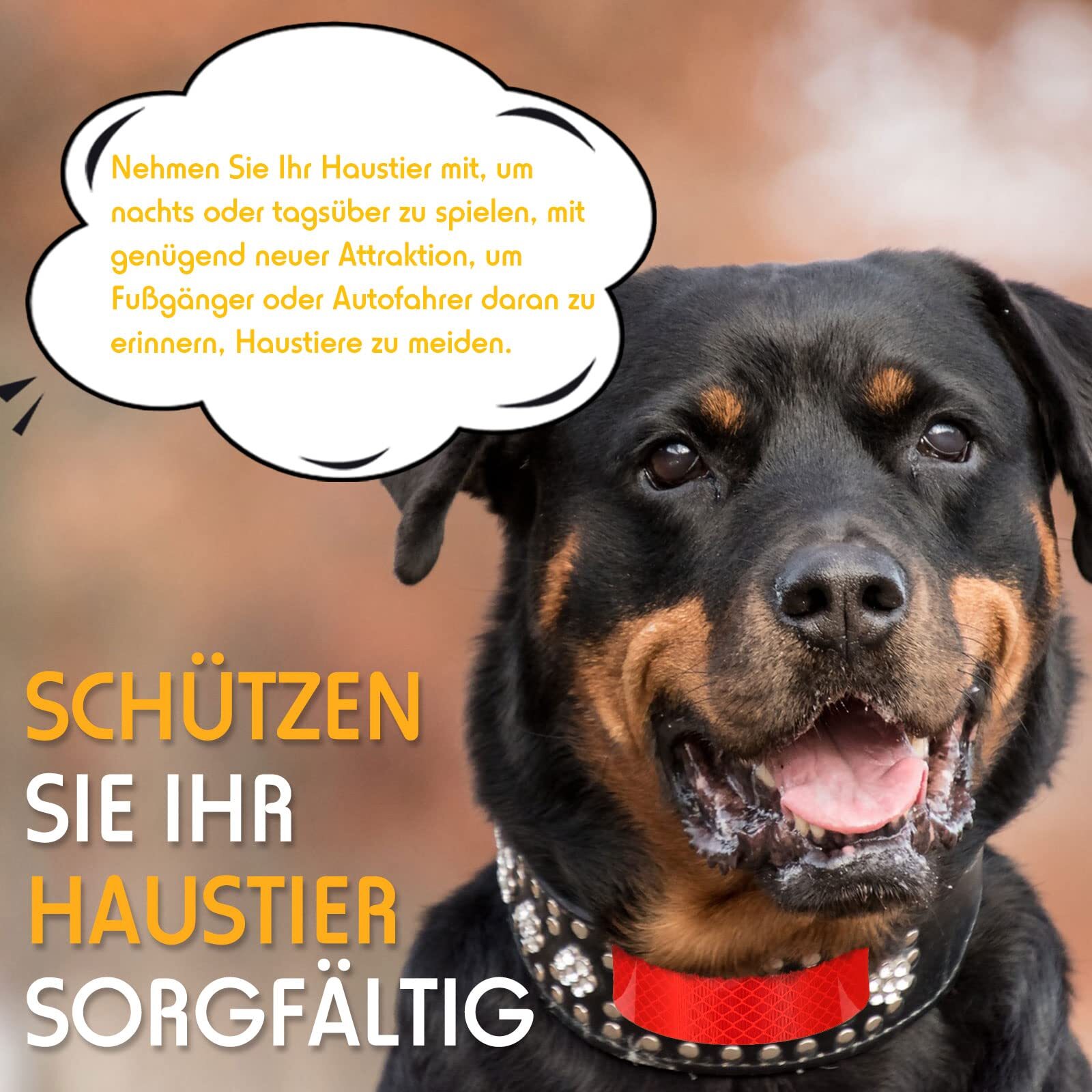 Bild 3 von 7