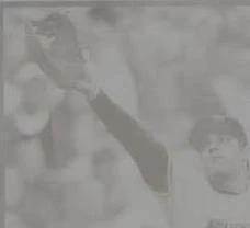 Printing Plate Yellow