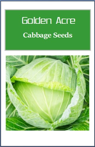 Golden Acre Cabbage Seeds | NON-GMO Cabbage Seeds | Fresh Heirloom Garden Seeds - Picture 2 of 2