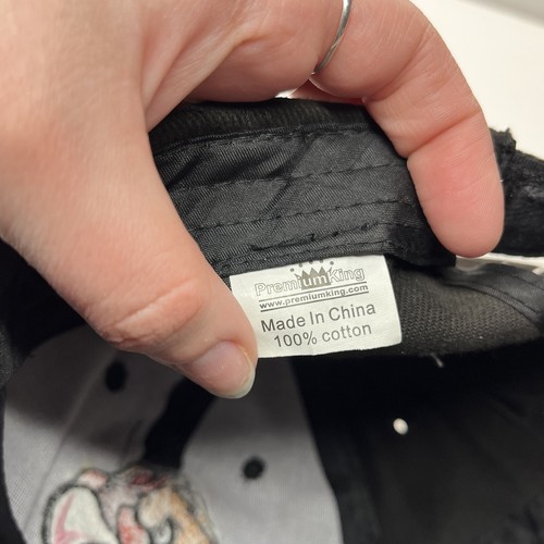 Lehigh Valley Iron Pigs Gobblers Hat Cap Mens Adjustable Hook Loop Baseball SGA - Picture 13 of 14